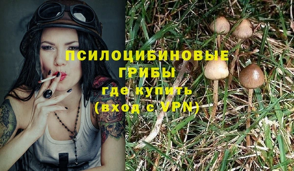марки lsd Балабаново
