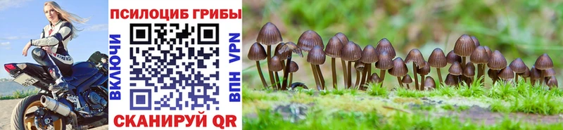 Галлюциногенные грибы GOLDEN TEACHER  Старый Крым 